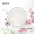 Orchid Stem Cell Anti-Aging Eye & Face Cream