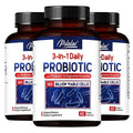 Probiotics + Prebiotics + Digestive Enzymes - Promote Intestinal Flora Digestive Health Women & Men Provide Lasting Energy